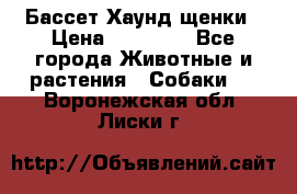 Бассет Хаунд щенки › Цена ­ 20 000 - Все города Животные и растения » Собаки   . Воронежская обл.,Лиски г.